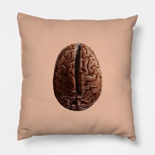 Brain bean Pillow