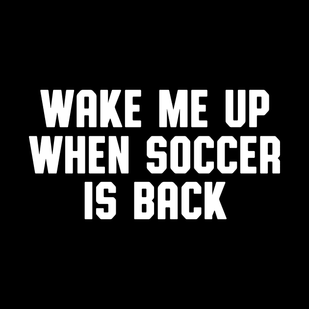 WAKE ME UP WHEN SOCCER IS BACK by Zanzibar