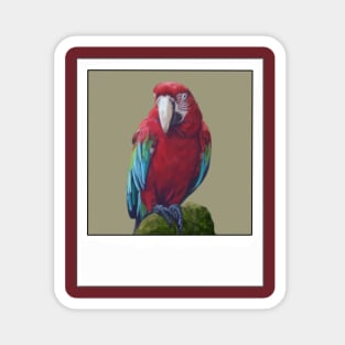Scarlet Macaw- Digital illustration Magnet