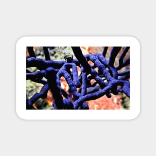 Purple Finger Coral on Reef Magnet