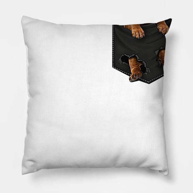 Dachshund Dog In Front Pocket Pillow by Biden's Shop