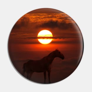 Horse under the dark Sun Pin