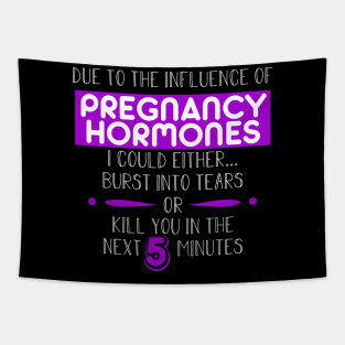 Pregnancy Hormones Tapestry