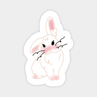 Cute Bunny Collection Magnet