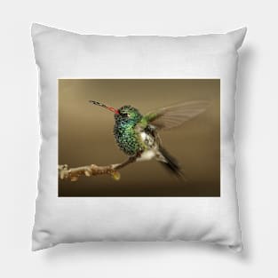 Hummingbird Pillow