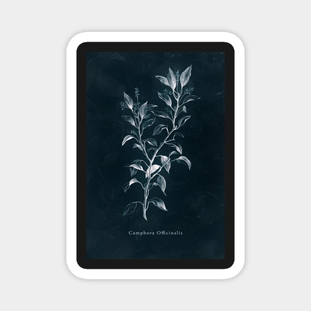 Cyanotype - Camphora Officinalis Magnet by PixelHunter