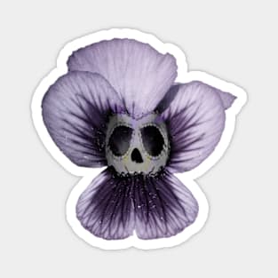 Pansy Purple Skull Flower Magnet