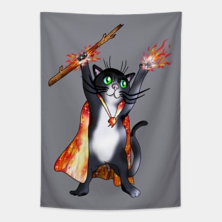 Mighty black cat sorcerer with fire magic Tapestry