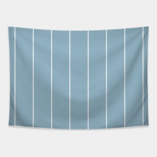 Classic Geometry / Stripes on Vintage Sky Blue Tapestry