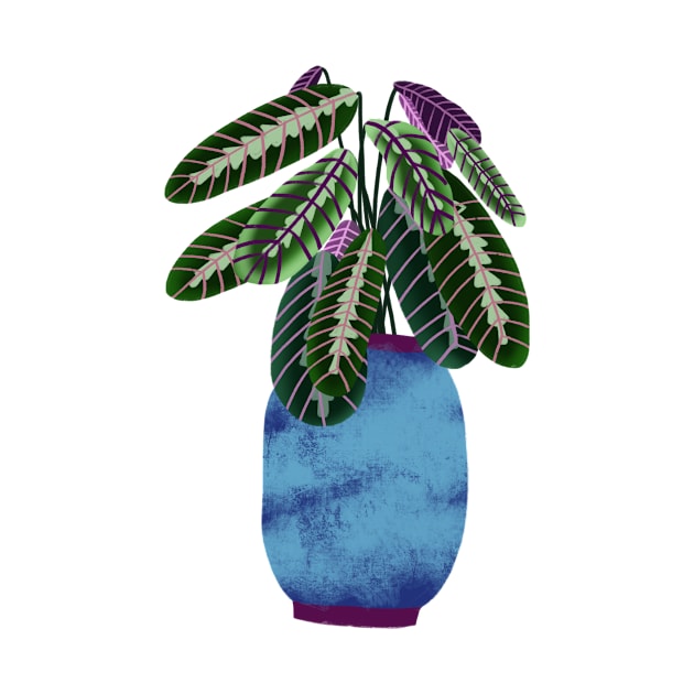 Prayer Plant, Maranta plant illustration by Pacesyte