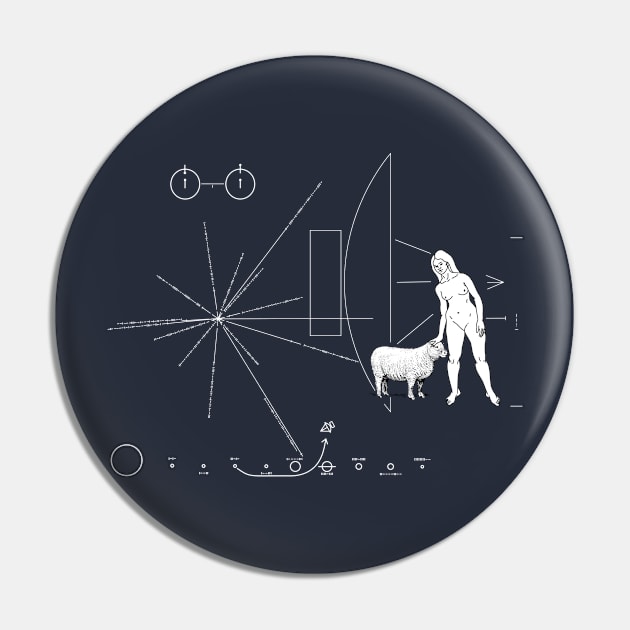 Pioneer plaque Stupid men Pin by Manikool