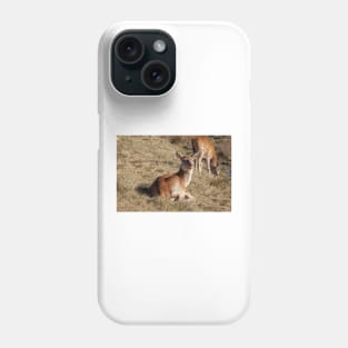 Red Deer Phone Case