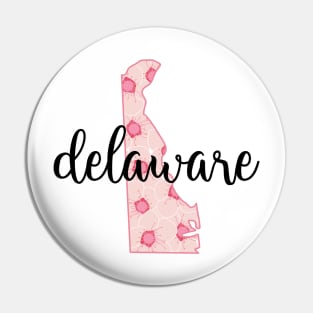 delaware Pin