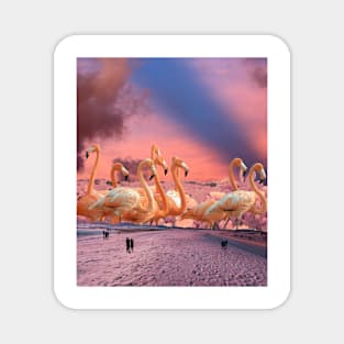 The Giant Flamingos Magnet