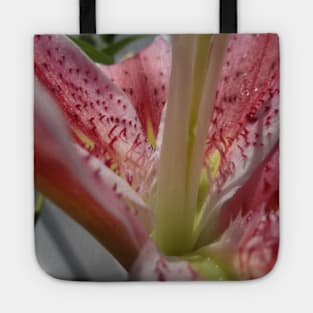 Beautiful photograph of lily flower Tote