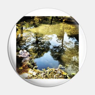 Reflections on Kyoto Pin