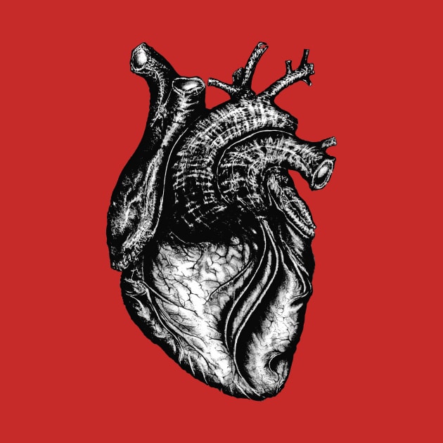 Anatomical Heart by Redmonks