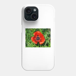 Giant Red Poppy 1 Phone Case