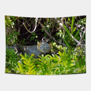 A Juvenile American Robin Hiding In A Bush Tapestry