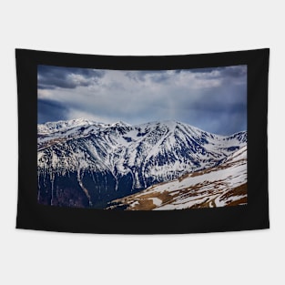 Mountain range in the spring Tapestry