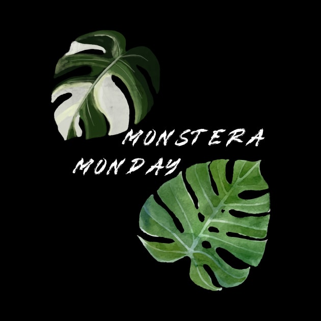 Monstera Monday by The Goodberry