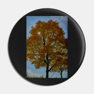 Autumn Pin