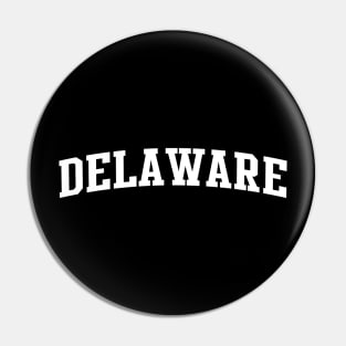 Delaware Pin