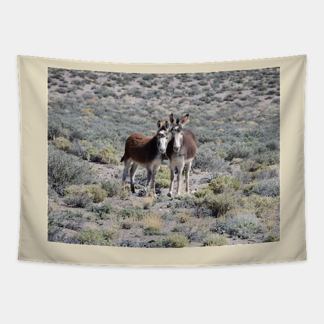 Wild burros, donkeys, wildlife, Mama and Baby Burro Tapestry by sandyo2ly
