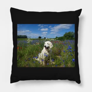 Ditte in a field of wild flowers Pillow