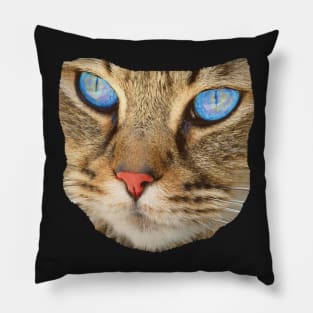 blue eyed cat Pillow