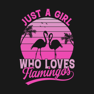 Just A Girl Who Loves Flamingos T-Shirt