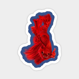 Red Betta Fish Painting Magnet