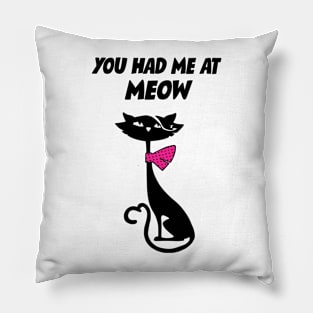 You Had Me At Meow Pillow