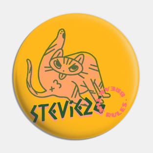 Stevie26 break the rules cat Pin