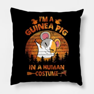 Guinea Pig Halloween Costumes (16) Pillow