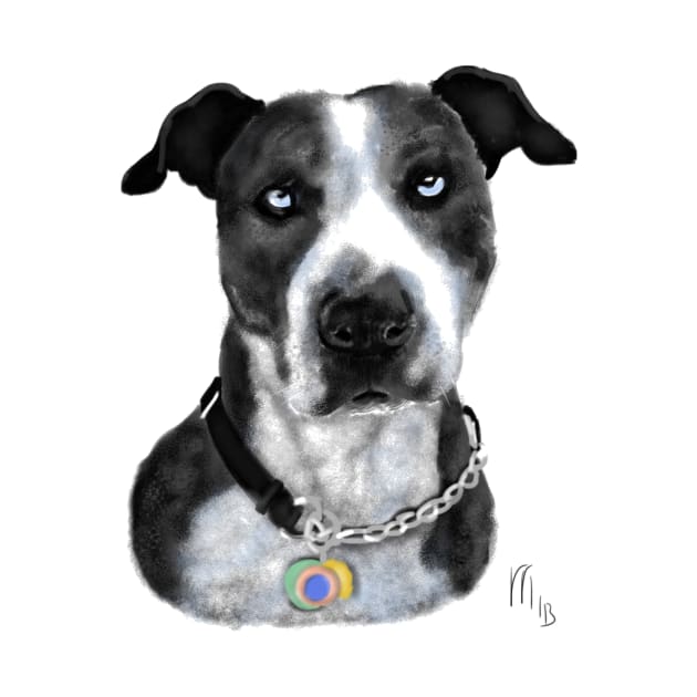 Black and White Pit Bull With Blue Eyes by LITDigitalArt