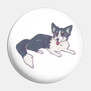 Border Collie old dog Pin