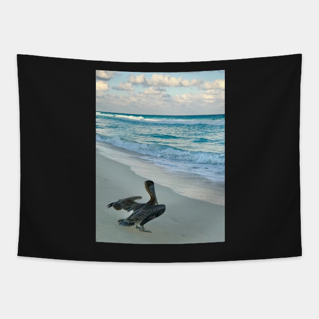 Grey Pelican in Mexico Tapestry by ephotocard