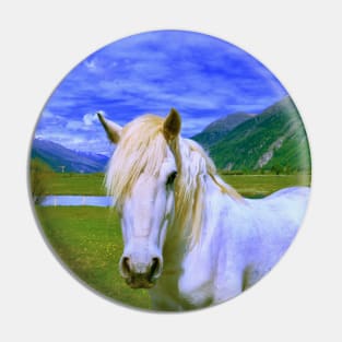 Horse in Wonderland / Swiss Artwork Photography Pin