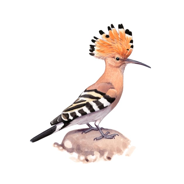 Eurasian Hoopoe by kokayart