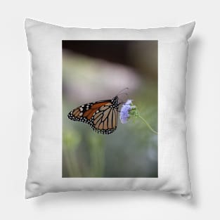 Migration Series V Pillow