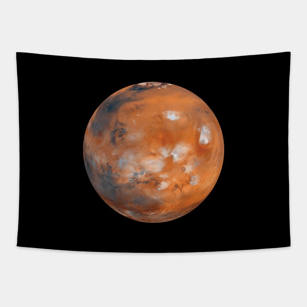 Mars Tapestry by Fushiznick