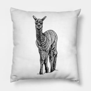 Baby alpaca - ink illustration Pillow