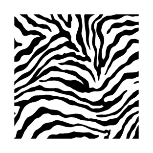 ZEBRA COLLECTION T-Shirt