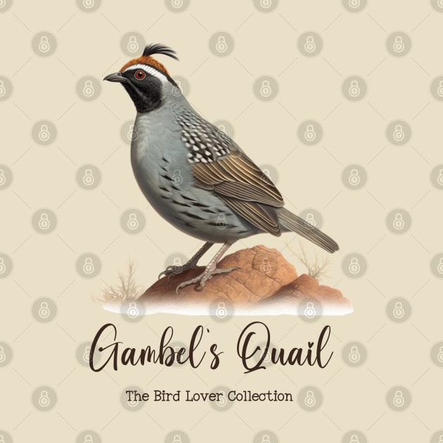 Gambel´s Quail - The Bird Lover Collection by goodoldvintage