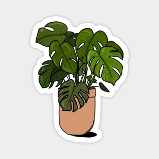 Planty the monstera- this time in colour Magnet