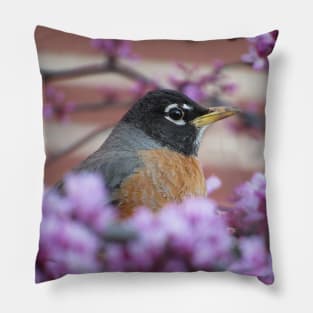 Ameican Robin in a Flowering Tree Pillow