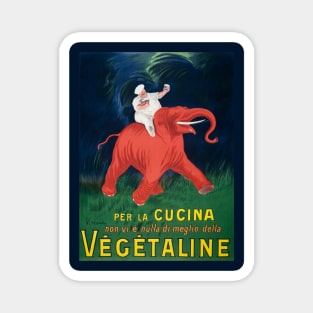 Retro Advertising - Vegetaline Magnet