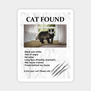 Cat Found Poster (Badger) Magnet