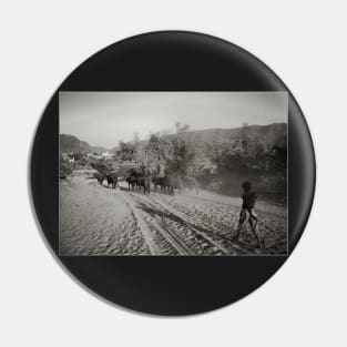 Landscapes vintage B/W Photography Pin